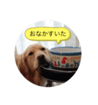 シロップ あいさつ（個別スタンプ：1）