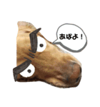 シロップ あいさつ（個別スタンプ：5）
