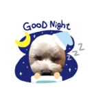 ひめちゃん001スタンプ（個別スタンプ：2）