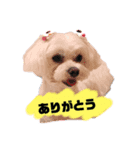 ひめちゃん001スタンプ（個別スタンプ：4）