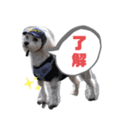 ひめちゃん001スタンプ（個別スタンプ：6）