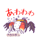 かにっこ館公式スタンプ（個別スタンプ：7）