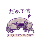かにっこ館公式スタンプ（個別スタンプ：12）