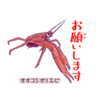 かにっこ館公式スタンプ（個別スタンプ：19）