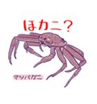 かにっこ館公式スタンプ（個別スタンプ：21）