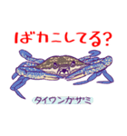 かにっこ館公式スタンプ（個別スタンプ：22）