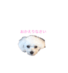 ここの日常◡̈⃝︎⋆︎*（個別スタンプ：1）