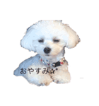 ここの日常◡̈⃝︎⋆︎*（個別スタンプ：3）
