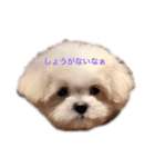 ここの日常◡̈⃝︎⋆︎*（個別スタンプ：4）