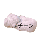 ここの日常◡̈⃝︎⋆︎*（個別スタンプ：5）