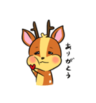 せんべい好き★シカリカ（個別スタンプ：15）