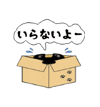 段ボールにゃんこの日常（個別スタンプ：17）