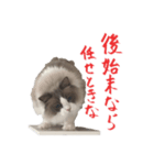 ふわららスタンプ（個別スタンプ：2）