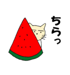 ねこさんと友達のワンさん（個別スタンプ：29）