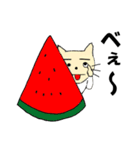 ねこさんと友達のワンさん（個別スタンプ：31）