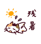 三毛猫のロロちゃん 夏の日（個別スタンプ：7）