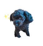 毎日dog！（個別スタンプ：6）