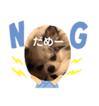 うちのしろくろ犬（個別スタンプ：2）