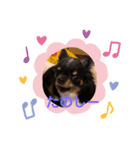うちのしろくろ犬（個別スタンプ：8）