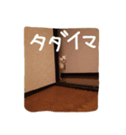 みんな家族3（個別スタンプ：1）