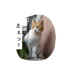 みんな家族3（個別スタンプ：2）