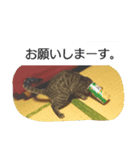 みんな家族3（個別スタンプ：5）