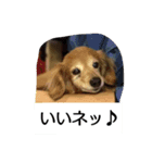 みんな家族3（個別スタンプ：7）