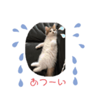 レオンスタンプ6（個別スタンプ：6）