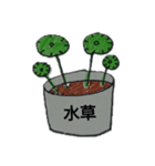メダカ好きあるあるbyミジンコ（個別スタンプ：13）