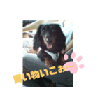 きがるにあいさつ（個別スタンプ：7）