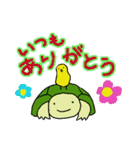 かめひよぴょん（個別スタンプ：7）