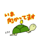 かめひよぴょん（個別スタンプ：15）