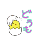 かめひよぴょん（個別スタンプ：16）