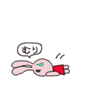 かめひよぴょん（個別スタンプ：24）