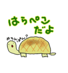 かめひよぴょん（個別スタンプ：26）