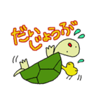かめひよぴょん（個別スタンプ：29）
