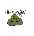 かめひよぴょん（個別スタンプ：34）