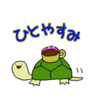 かめひよぴょん（個別スタンプ：37）