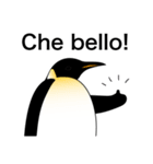 ダンディペンギン イタリア語版（個別スタンプ：1）