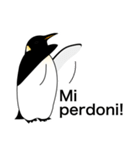 ダンディペンギン イタリア語版（個別スタンプ：24）