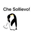 ダンディペンギン イタリア語版（個別スタンプ：28）