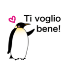 ダンディペンギン イタリア語版（個別スタンプ：38）
