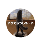 オレ、藍丸（個別スタンプ：4）