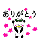 カッパンダ1（個別スタンプ：30）