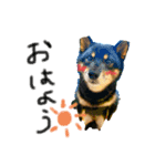 LEO＆QOO（個別スタンプ：1）