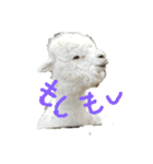 むにゅとしたい動物たち（個別スタンプ：3）