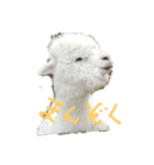 むにゅとしたい動物たち（個別スタンプ：5）