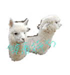 むにゅとしたい動物たち（個別スタンプ：6）