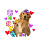 ハナ♡マリ（個別スタンプ：5）
