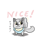 ねこベイビー（個別スタンプ：2）